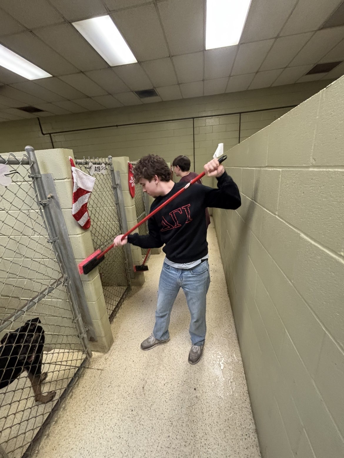 Muncie Animal Shelter volunteering